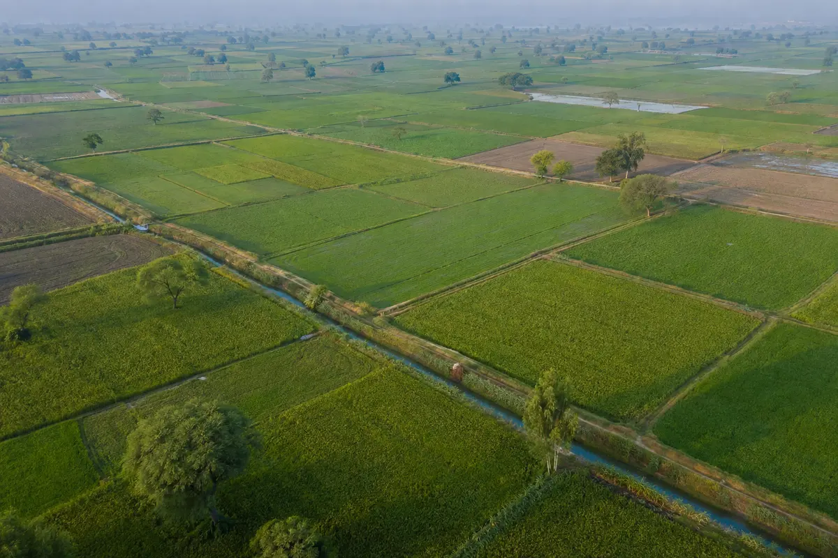 پنجاب کے کھیتوں اور پانی کے راستوں کی فضائی تصویری عکاسی